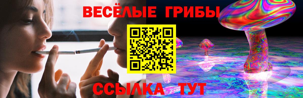 Псилоцибиновые грибы Cubensis  Вход с VPN  Вичуга 